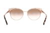 Picture of Michael Kors Sunglasses MK1023