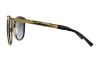 Picture of Michael Kors Sunglasses MK1010