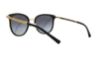 Picture of Michael Kors Sunglasses MK1010
