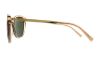 Picture of Michael Kors Sunglasses MK2023
