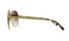 Picture of Michael Kors Sunglasses MK1024