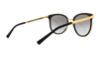 Picture of Michael Kors Sunglasses MK1010 Adrianna I