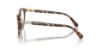 Picture of Swarovski Eyeglasses SK2019