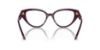 Picture of Swarovski Eyeglasses SK2024