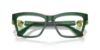 Picture of Swarovski Eyeglasses SK2021