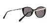 Picture of Swarovski Sunglasses SK0168