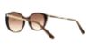 Picture of Swarovski Sunglasses SK0168