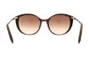Picture of Swarovski Sunglasses SK0168