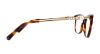 Picture of Swarovski Eyeglasses SK5276