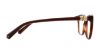 Picture of Swarovski Eyeglasses SK5242