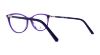 Picture of Swarovski Eyeglasses SK5240