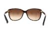 Picture of Swarovski Sunglasses SK0083 Evelina