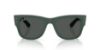 Picture of Ray Ban Sunglasses RB4840S