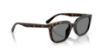 Picture of Ray Ban Sunglasses RB4439D