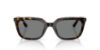Picture of Ray Ban Sunglasses RB4439D