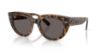 Picture of Ray Ban Sunglasses RB2286