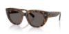 Picture of Ray Ban Sunglasses RB2286F