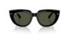 Picture of Ray Ban Sunglasses RB2286