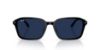Picture of Ray Ban Sunglasses RB2231