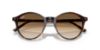 Picture of Ray Ban Sunglasses RB2230
