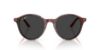 Picture of Ray Ban Sunglasses RB2230F