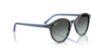 Picture of Ray Ban Sunglasses RB2230F