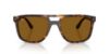 Picture of Ray Ban Sunglasses RB2213