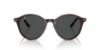 Picture of Ray Ban Sunglasses RB2230F