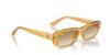 Picture of Ray Ban Sunglasses RB4436D
