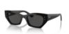 Picture of Ray Ban Sunglasses RB4430F