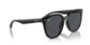 Picture of Ray Ban Sunglasses RB4423D