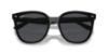 Picture of Ray Ban Sunglasses RB4423D