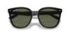 Picture of Ray Ban Sunglasses RB4423D