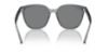 Picture of Ray Ban Sunglasses RB4423D