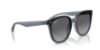 Picture of Ray Ban Sunglasses RB4423D