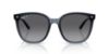 Picture of Ray Ban Sunglasses RB4423D
