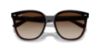 Picture of Ray Ban Sunglasses RB4423D
