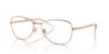 Picture of Ray Ban Eyeglasses RX3733V