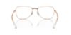 Picture of Ray Ban Eyeglasses RX3733V