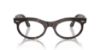 Picture of Ray Ban Eyeglasses RX2242VF