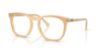 Picture of Ray Ban Eyeglasses RX2210VF