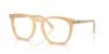 Picture of Ray Ban Eyeglasses RX2210V