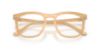 Picture of Ray Ban Eyeglasses RX2210V