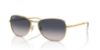 Picture of Ray Ban Sunglasses RB3733