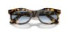 Picture of Ray Ban Sunglasses RB2242