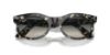 Picture of Ray Ban Sunglasses RB2242