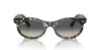Picture of Ray Ban Sunglasses RB2242F