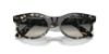 Picture of Ray Ban Sunglasses RB2242F