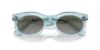 Picture of Ray Ban Sunglasses RB2242