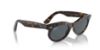 Picture of Ray Ban Sunglasses RB2242F